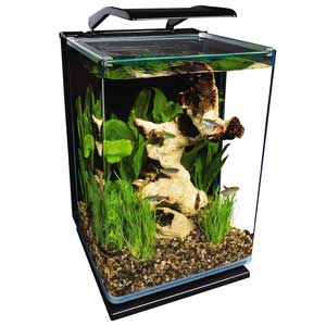 Marineland Portrait 5 Gallon Aquarium