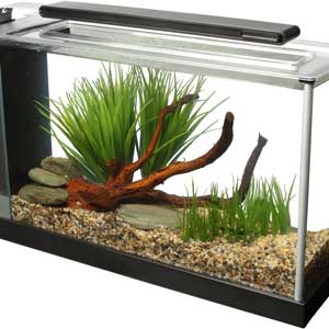 Fluval SPEC Aquarium Kit